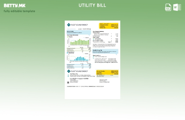 Модерен стил САД Вашингтон Puget Звучна енергија шаблон за комунални сметки збор